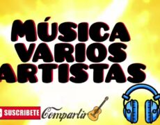 Descubre el fascinante mundo de la K-Indie: Bandas y artistas independientes que rompen barreras musicales