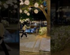 Descubre el paraíso en el Paradise Hotel Busan: Tu guía de turismo en Busan, Corea del Sur