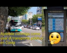 Descubre el turismo en Corea del Sur: Cómo moverte de manera eficiente y económica con el sistema de transporte público