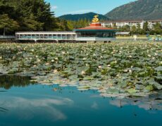 Descubre la belleza de Changwon: turismo y viaje en Corea del Sur